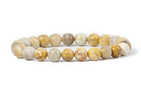 Cherry Tree Collection Fossil Coral product image