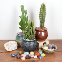 Cherry Tree Collection Amazonite product image