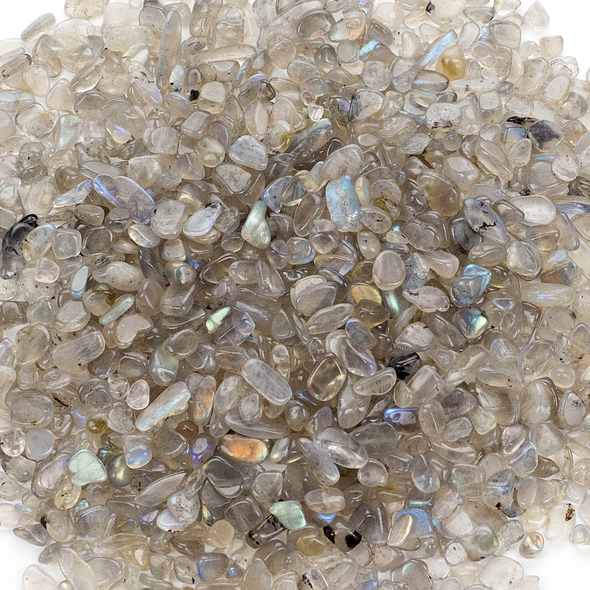 Labradorite Polished Chips, 1/2 lb
